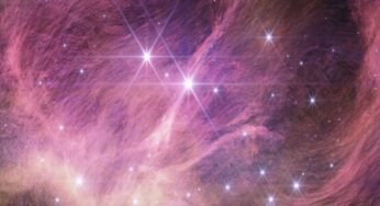 A MENOR ANÃ MARROM DO UNIVERSO MAIS UM FEITO DO JAMES WEBB
