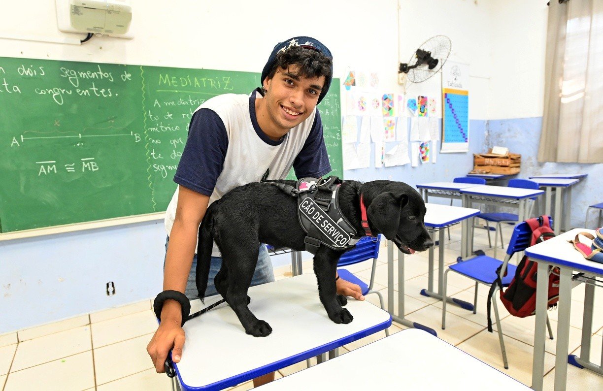 Estudante com epilepsia usa cão de serviço para alertar colegas e professores em momentos de crise